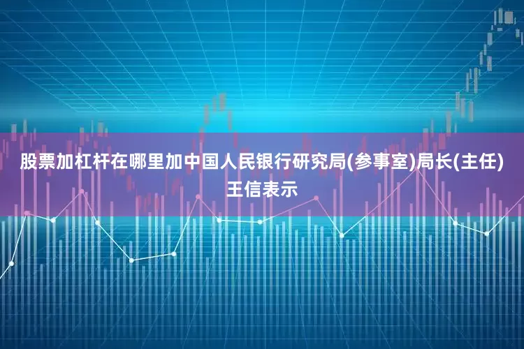 股票加杠杆在哪里加中国人民银行研究局(参事室)局长(主任)王信表示