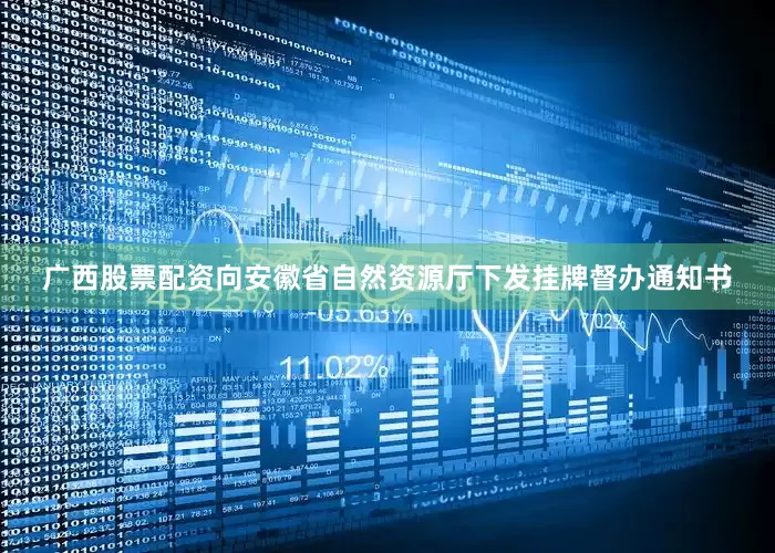 广西股票配资向安徽省自然资源厅下发挂牌督办通知书