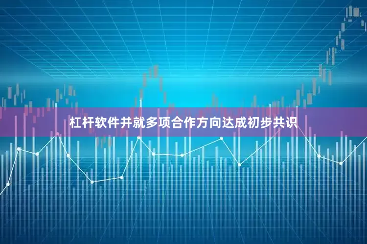杠杆软件并就多项合作方向达成初步共识